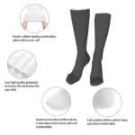 Women's Modern Rib Half Calf Sock 8-Pack - Image 6