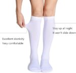 Women's Pointelle Knee High Sock 3-Pack - Image 4